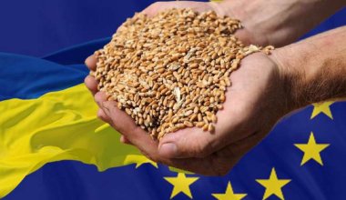 Евросоюз продолжит поставлять украинское зерно на мировые рынки