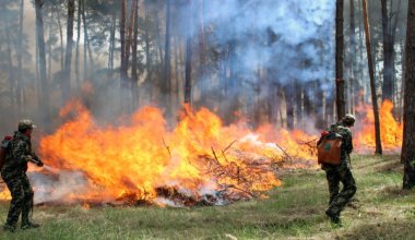 Во многих регионах Казахстана сохраняется пожарная опасность
