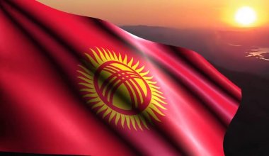 В Кыргызстане на 3,5 года ввели режим ЧС