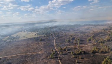 Лесной пожар в области Абай тушили 11 дней