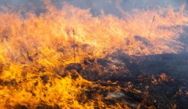 Во многих регионах Казахстана сохраняется пожарная опасность