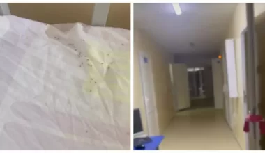 Муравьев сняли на видео в детской больнице Балхаша