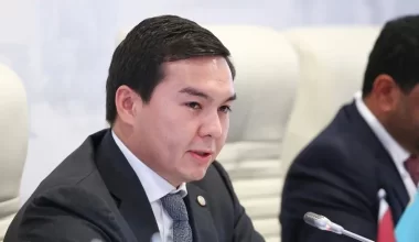 Внук Назарбаева стал главой совета директоров АО «Транстелеком»