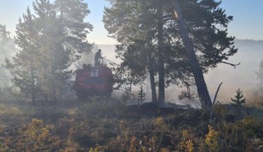 Пожарные потушили лесной пожар в Восточном Казахстане