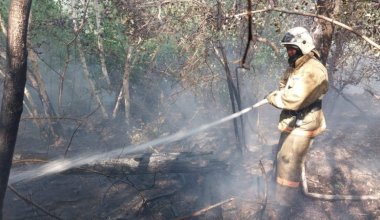 Пожар тушат в горах Жамбылской области