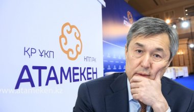 Дорого и бесполезно: кому в Казахстане нужна нацпалата «Атамекен»
