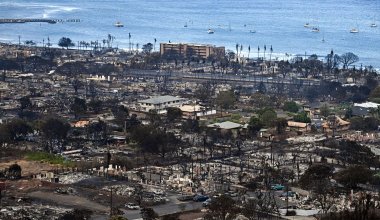 Погибли 80 человек: на Гавайских островах возник лесной пожар