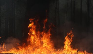 Жители Карагандинской области остались без света из-за пожара