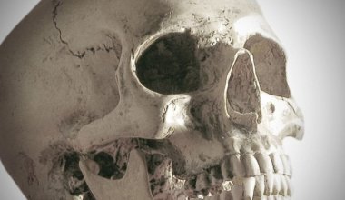 На кладбище Караганды нашли человеческий череп
