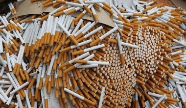 В Павлодаре выявили контрафактные сигареты на 28 миллионов тенге