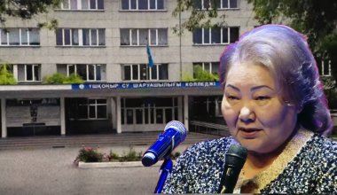 Анипа Назарбаева лишилась колледжа в селе Шамалган