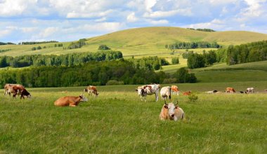 32 тысяч га пастбищных земель вернули в собственность Казахстана