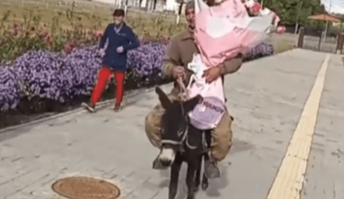 Поздравил жену с днем рождения: рыцарь на осле из Алматинской области умилил Казнет (видео)