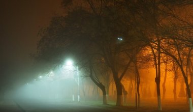 Туман и пожарная опасность: в каких регионах объявили штормовое предупреждение
