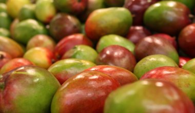 Не нужен нам рынок турецкий: в Казахстане начнут выращивать манго и авокадо