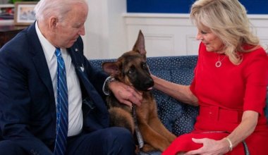 Собачья жизнь: пса Байдена выгоняют из Белого дома
