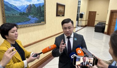 Депутат предложил наказывать жертв насилия: правозащитники критикуют Казахстан