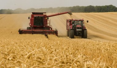 Рекордный экспорт в плохой сезон: сколько заработал Казахстан на продаже зерна