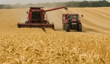 В Казахстане снят запрет на транзит пшеницы