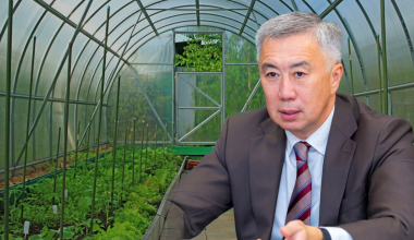 Есть проблема: вице-премьер высказался о жалобах владельцев теплиц в Казахстане