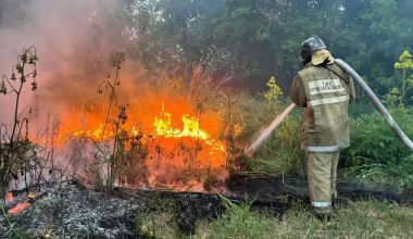 Пожар в области Абай: министр экологии назвал причину бедствия