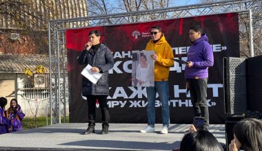 Дело Бишимбаева: брат погибшей Салтанат Нукеновой пришел на митинг в Алматы
