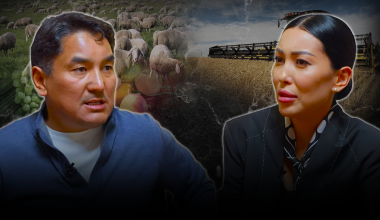 Продовольственная диверсия, или Почему правительство Казахстана своих крестьян подставляет