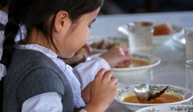 Отравления и дефициты: сенатор требует улучшить качество школьного питания в Казахстане