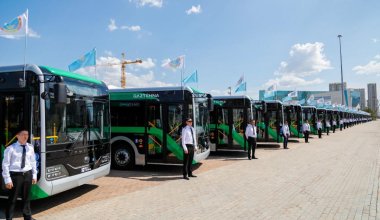 Автобусы, маршруты, оплата: как изменился муниципальный транспорт в 2023 году