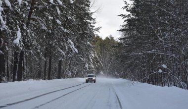 На информацию о погибших в снежных завалах ответили в ДП Жамбылской области