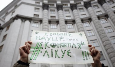 Для военных: Верховная Рада Украины одобрила легализацию каннабиса в медцелях