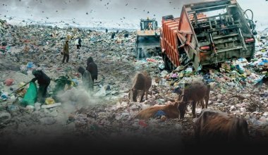 Почти 80% мусорных полигонов в Казахстане не соответствуют санитарным нормам