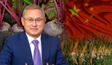 Свёкла, кукуруза и китайцы: какие проблемы решает аким Жетысу