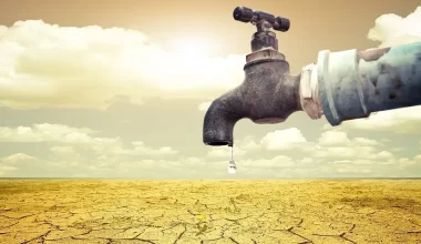 Столкнётся ли юг Казахстана с дефицитом воды в 2024 году