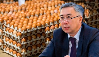 Россия заглядывается на казахстанские яйца