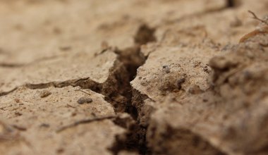 На 19 объектах обнаружили трещины после землетрясения в Алматинской области