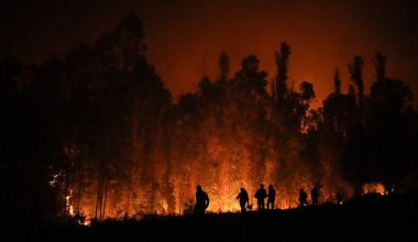 В Чили лесные пожары унесли жизни 64 человек