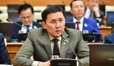 Бытовое насилие начинается из-за длинного языка женщины - казахстанский депутат