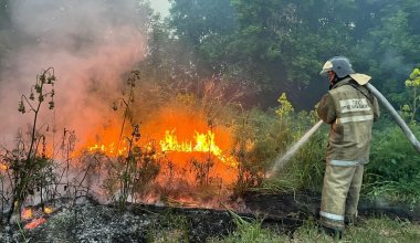 Глава Минэкологии назвал основные причины лесных пожаров в Казахстане