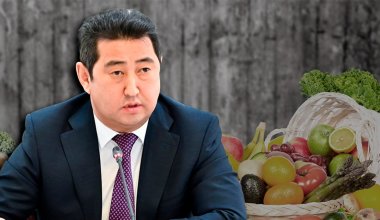 Завышенные цены: почему Минсельхоз не может обеспечить казахстанцев местной продукцией