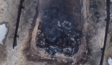 Видео с сожжением собак из Мангистауской области шокировало Казнет