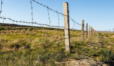 24 иностранца незаконно пересекли границу Казахстана в феврале