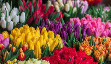 Казахстанки продают б/у цветы после 8 марта