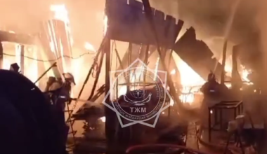 В Алматинской области сгорел столярный цех