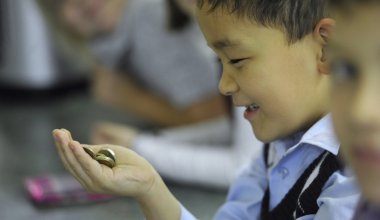 Уроки финансовой грамотности предлагают ввести в школьную программу в Казахстане