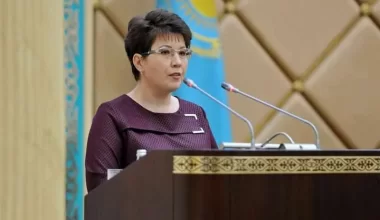 Наталью Годунову уволили с должности главы Высшей аудиторской палаты