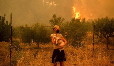 Европейские страны сражаются с лесными пожарами