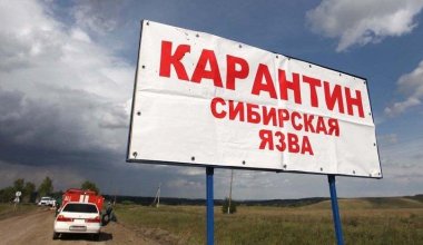 Какова ситуация в зоне затопления захоронений сибирской язвы в Казахстане