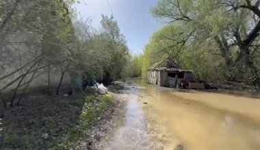 Река Жайык вышла из русла в Уральске: людей эвакуируют
