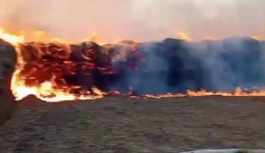 Сотни тонн сена горят в Атырауской области